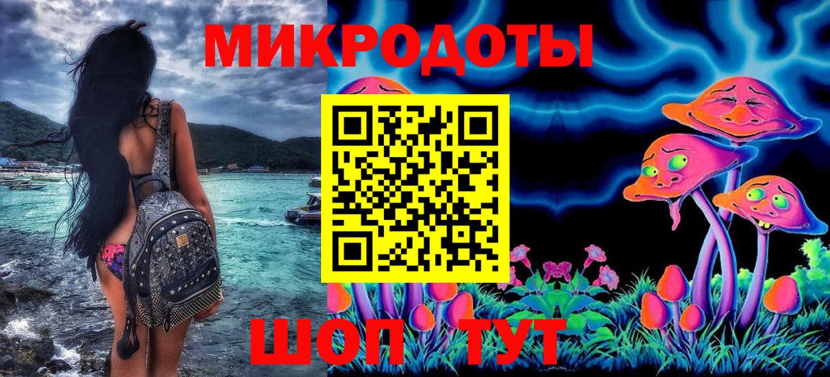 Псилоцибиновые грибы мицелий Ипатово