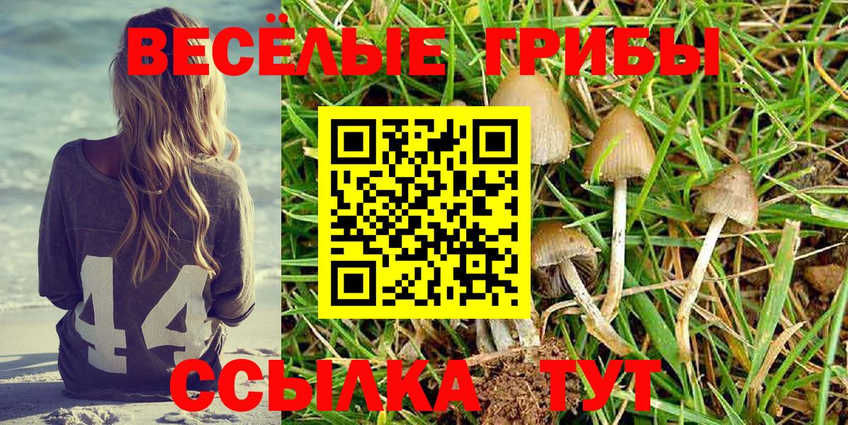 Ипатово  Галлюциногенные грибы MAGIC MUSHROOMS  Вход с VPN  Галлюциногенные грибы мухоморы 
